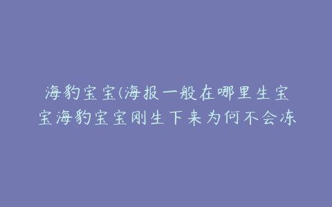 海豹宝宝(海报一般在哪里生宝宝海豹宝宝刚生下来为何不会冻住海豹是什么样的动物)