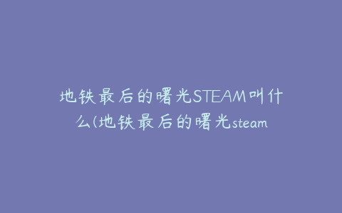 地铁最后的曙光STEAM叫什么(地铁最后的曙光steam名字