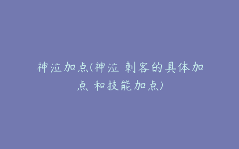 神泣加点(神泣 刺客的具体加点 和技能加点)