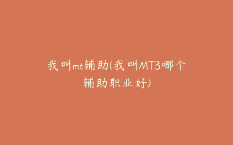 我叫mt辅助(我叫MT3哪个辅助职业好)