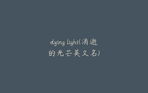 dying light(消逝的光芒英文名)